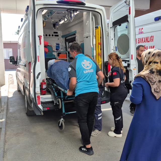 İncir toplarken ağaçtan düşen kişi yaralandı