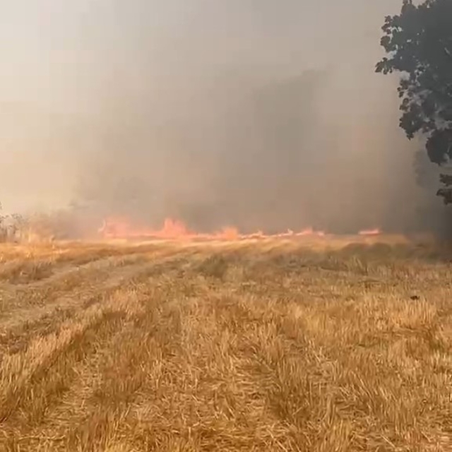 Eskipazar'da anız yangını korkuttu