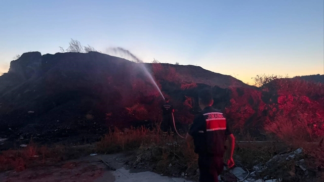 Bilecik'te ot ve çalılık yangını