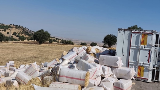 Diyarbakır'da saman dolu kamyon devrildi