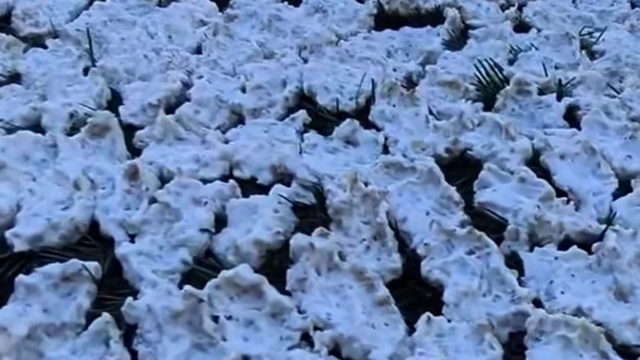 Kahramanmaraş'ta tarhana mesaisi