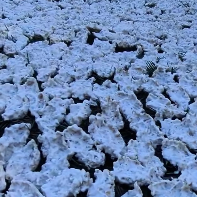 Kahramanmaraş'ta tarhana mesaisi