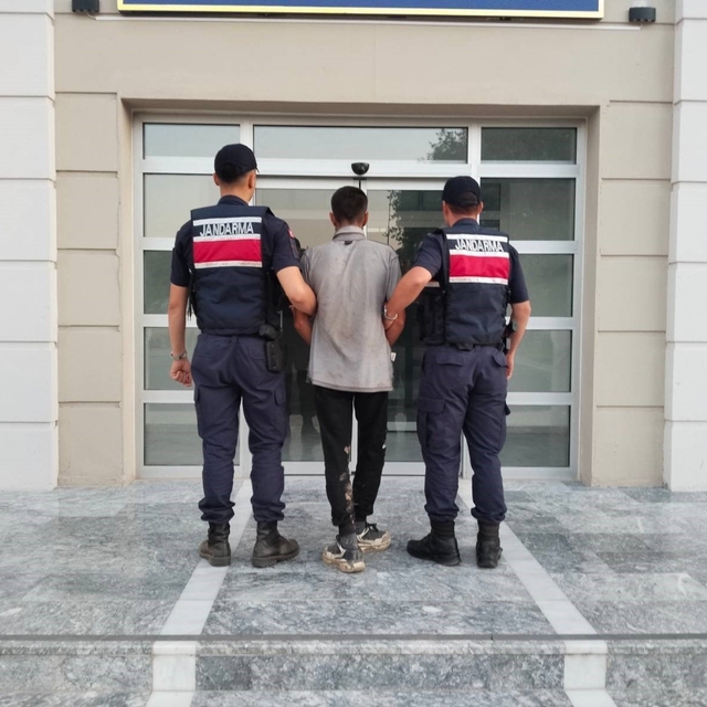 Germencik'te incir hırsızlığına suçüstü