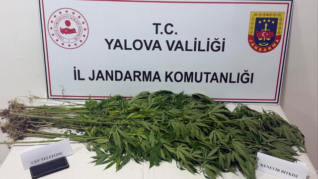 Yalova'da uyuşturucu operasyonu: 3 gözaltı