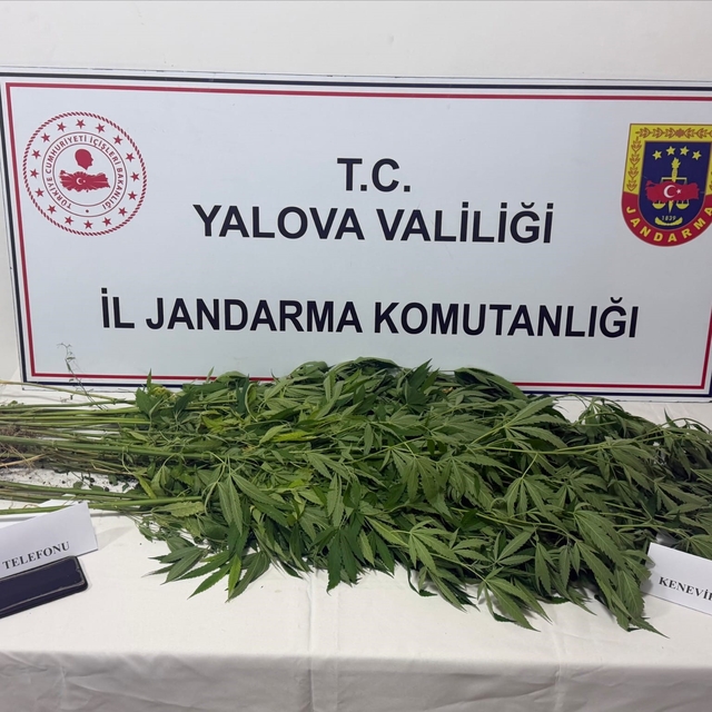 Yalova'da uyuşturucu operasyonu: 3 gözaltı