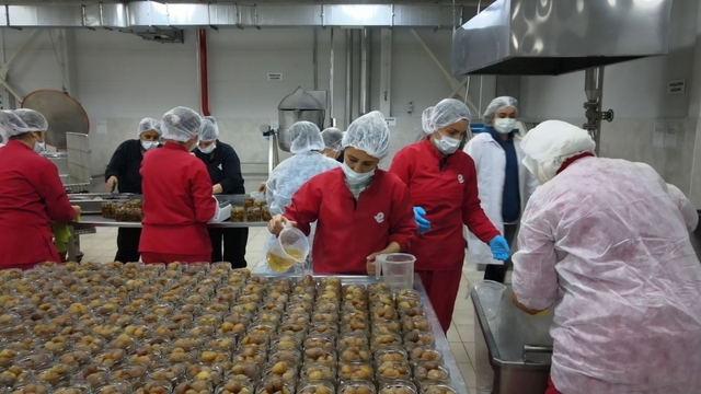Kadın Emeği Tarımsal Ürün Fabrikası'yla yerel üretim dünyaya açılıyor