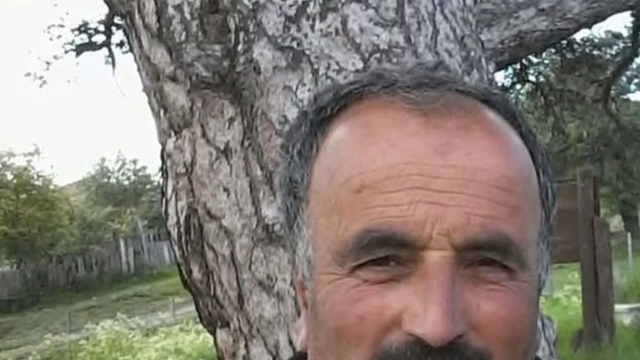 Üzerine ağaç devrilen vatandaş hayatını kaybetti