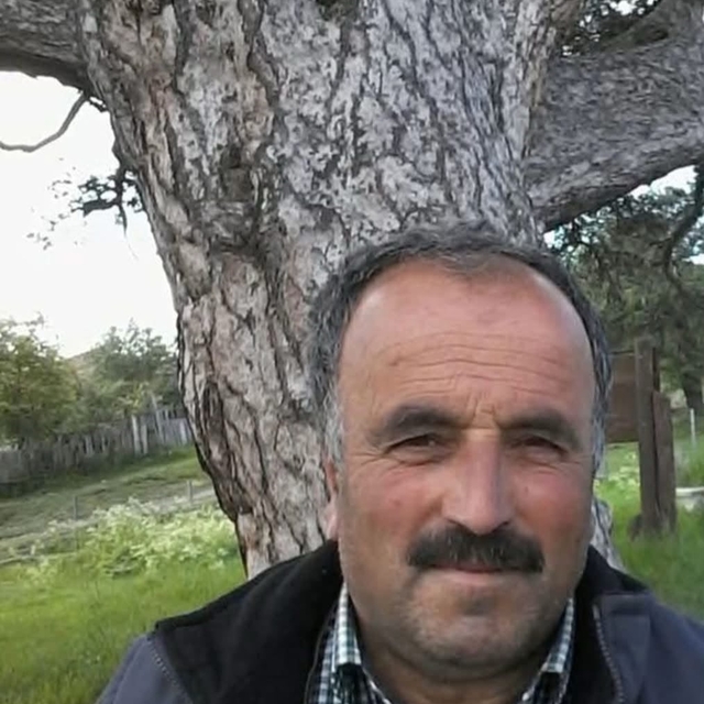 Üzerine ağaç devrilen vatandaş hayatını kaybetti