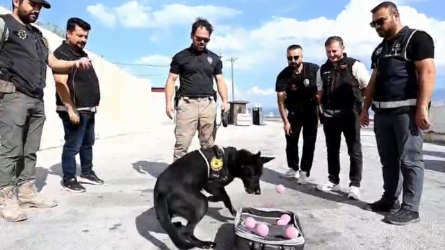 Emekli olan narkotik köpeği Naz'a duygulandıran veda