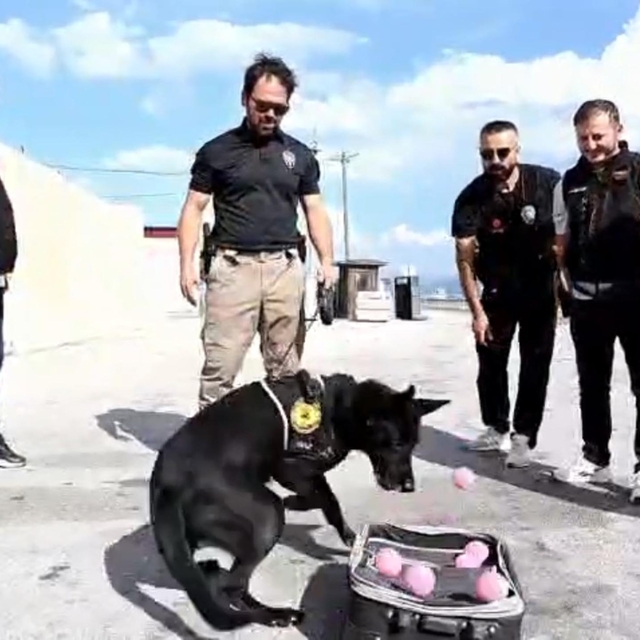 Emekli olan narkotik köpeği Naz'a duygulandıran veda