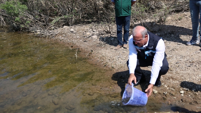 Atikhisar Barajı'na 348 bin sazan balığı yavrusu bırakıldı