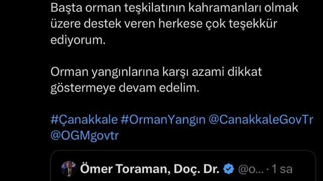 Çanakkale'de tarım arazisi ve merada yangın (2)
