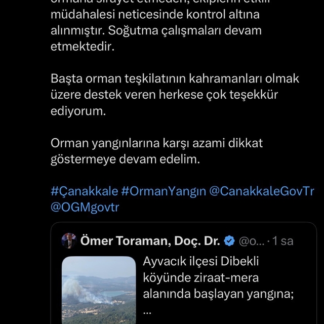 Çanakkale'de tarım arazisi ve merada yangın (2)