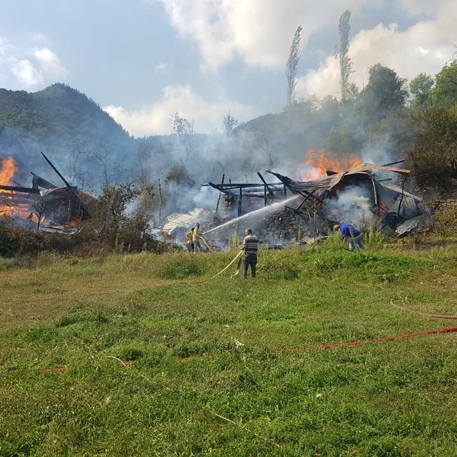 Şavşat'ta köy yangını: 4 hane alevlere teslim oldu