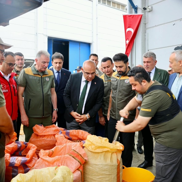 TMO, Giresun'da fındık alımına başladı