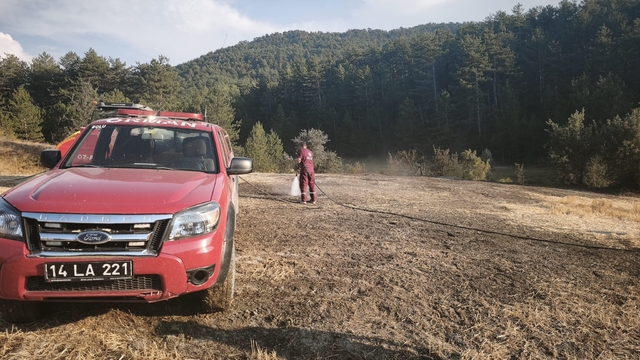 Bolu'da orman kenarında anız yangını: Köylülerin su tankerli müdahalesi faciayı önledi