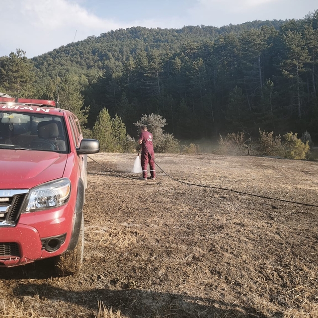 Bolu'da orman kenarında anız yangını: Köylülerin su tankerli müdahalesi fac...