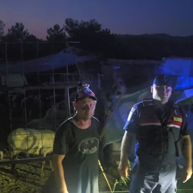 Bursa'da kaybolan 50 koyun jandarmanın dron destekli aramasıyla bulundu