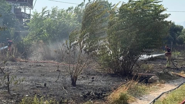 Antakya'da bahçe yangını kontrol altına alındı