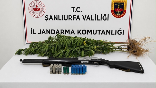 Şanlıurfa'da uyuşturucu madde ele geçirildi: 1 gözaltı