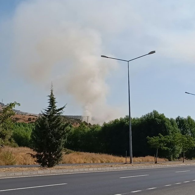 Bingöl'de otluk alanda çıkan yangın büyümeden söndürüldü