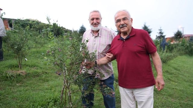 Başkan Güler: "Hem üretime hem de alıma destek veriyoruz"
Ordu'da mavi yemiş ve çoban fasulyesi üretimi yaygınlaşıyor