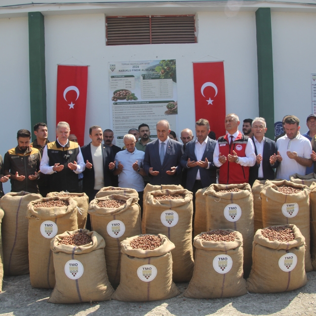 TMO Genel Müdürü Güldal: "Geçen yılın fındık mahsulü bu yıl kesinlikle alın...