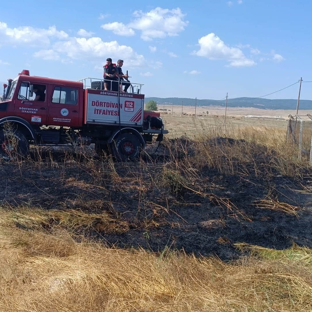 Bolu'da anız yangını büyümeden söndürüldü