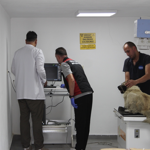 Ciple köpeğin üzerinden geçti; o anlar anlar kamerada (2)