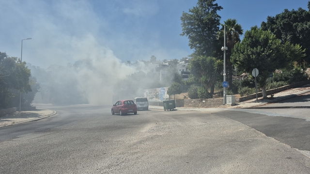 Bodrum'daki yangın büyümeden söndürüldü