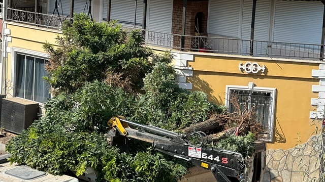 Sındırgı'da yol yapım çalışmaları sırasında ağaçlar söküldü