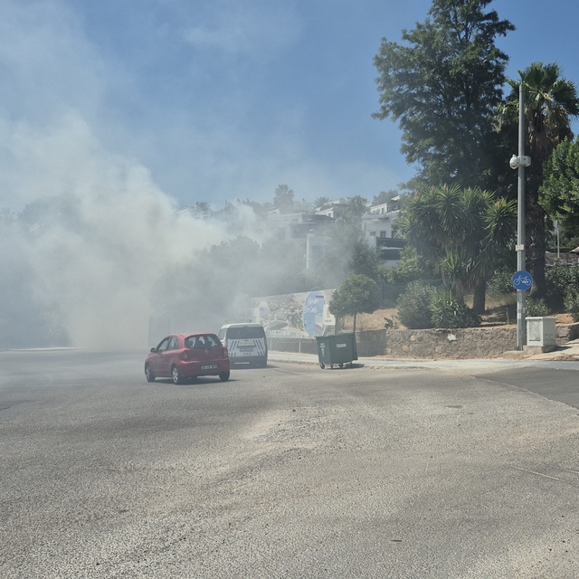 Bodrum'daki yangın büyümeden söndürüldü