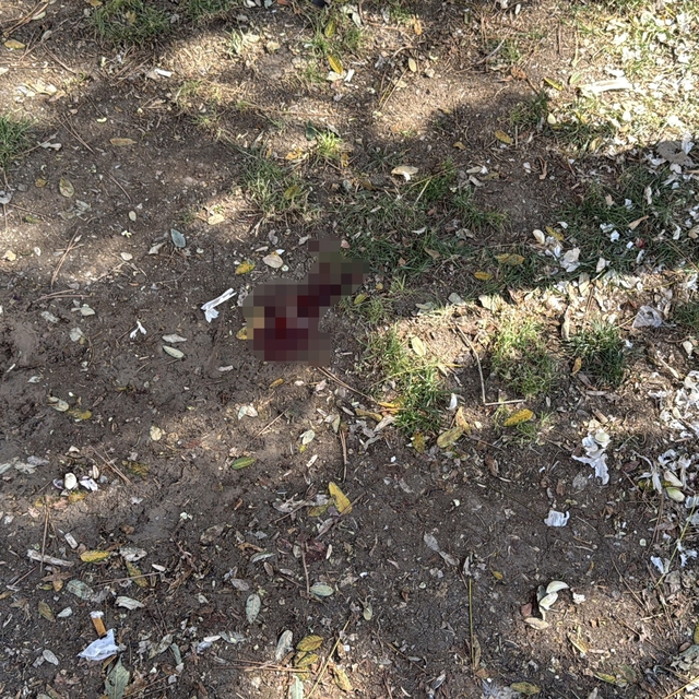 Parkta bir kişiyi döner bıçağıyla yaralayan saldırgan yakalandı