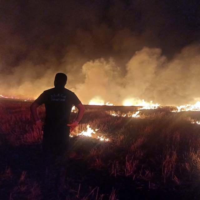 Çorum'da örtü yangını: Ekipler müdahale ediyor