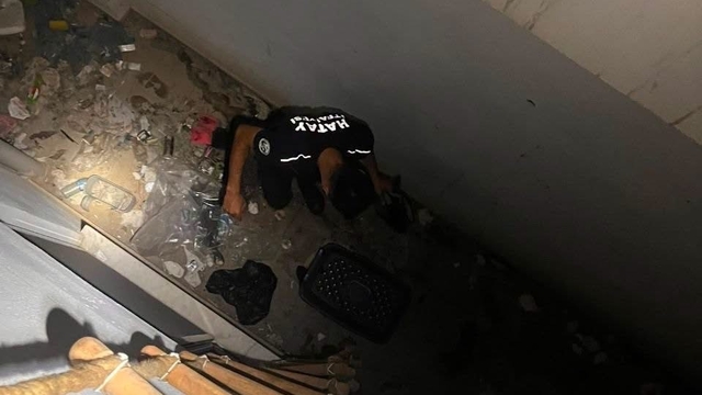 Hatay'da mahsur kalan hayvanlar kurtarıldı