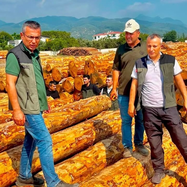 Dörtyol'da orman işletmesinin çalışmaları değerlendirildi