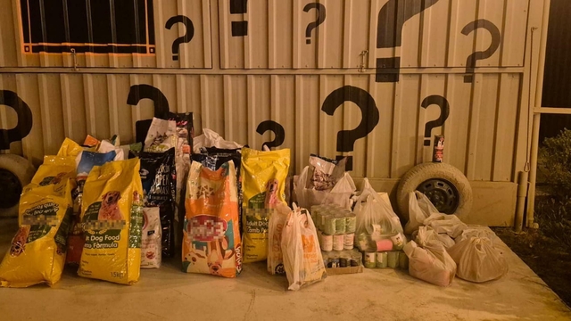 İzmir'de 'Dünya Köpek Günü'nde patili dostlar için 600 kilo mama toplandı