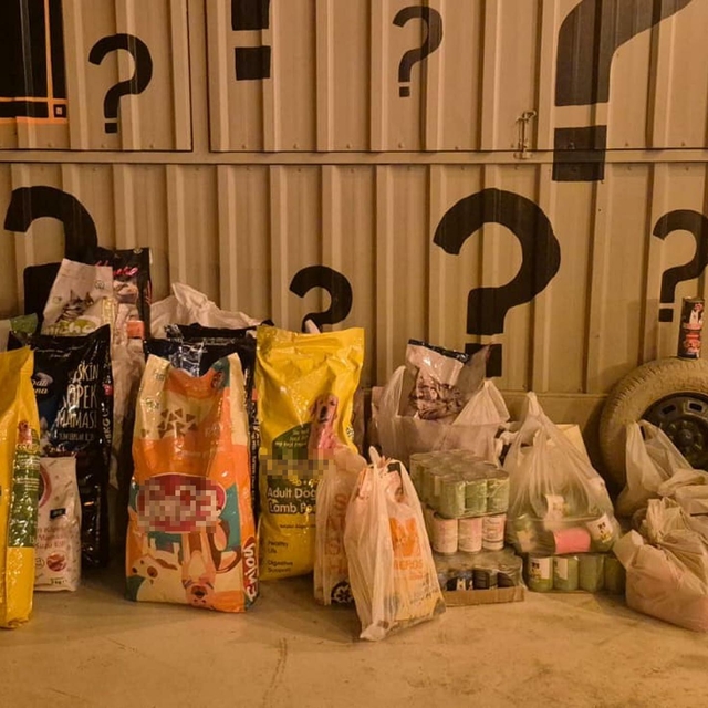 İzmir'de 'Dünya Köpek Günü'nde patili dostlar için 600 kilo mama toplandı