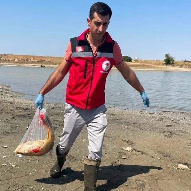 Tekirdağ'da gölette balık ölümlerine inceleme
