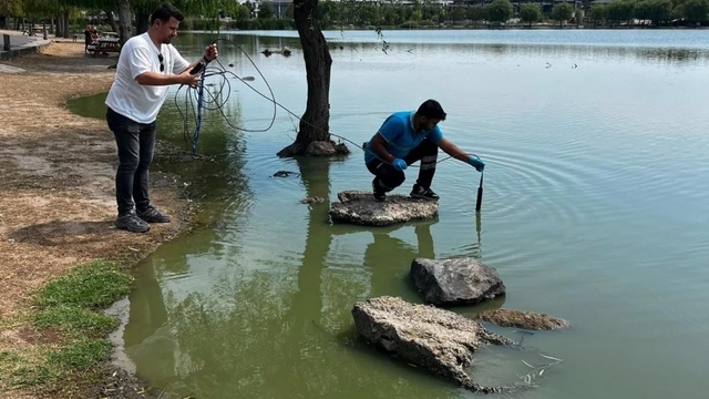 Çorlu Gölbaşı Parkı'nda alg alarmı: Gölette çalışma başlatıldı