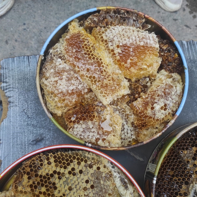 Sason'da ağaç kovuklarından çıkan balın kilosu çeyrek altını geride bıraktı