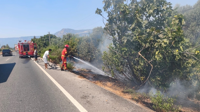 Ula'da yol kenarında başlayan alevler korkuttu