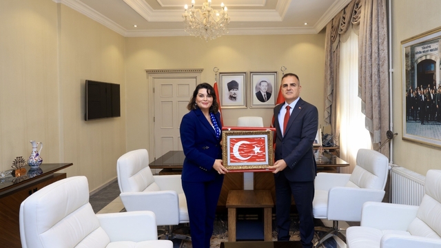 Muğla'da orman yangınlarına karşı seferberlik: "Hedef ihmalleri azaltmak"