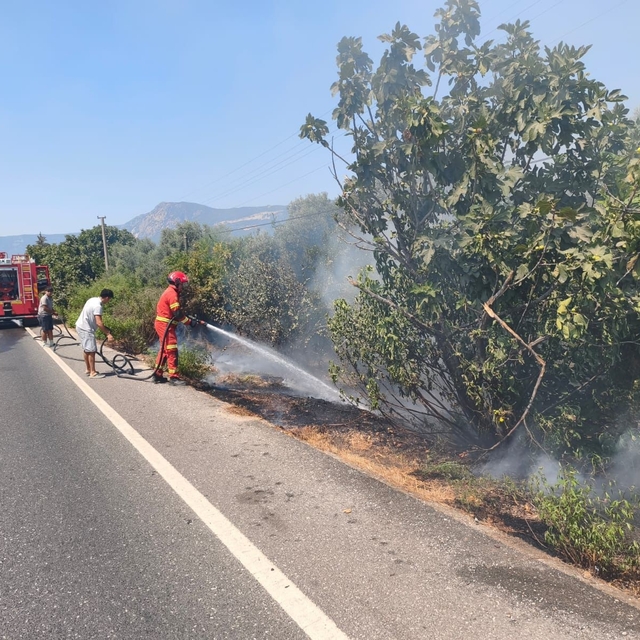 Ula'da yol kenarında başlayan alevler korkuttu