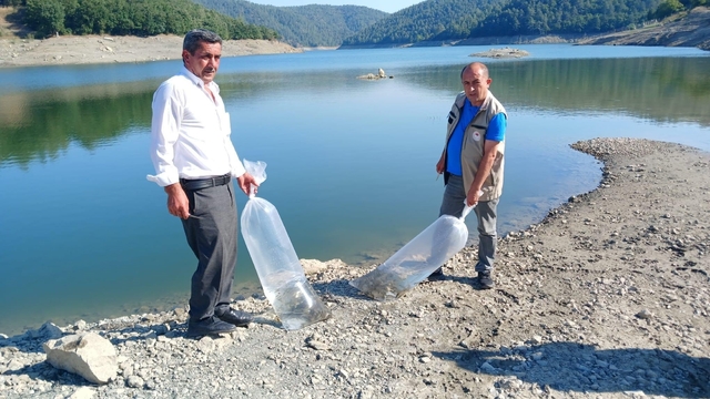 Orhaneli'de göletler sazan yavrularıyla buluştu
Bursa'daki 41 ayrı su kaynağına bu yıl toplam 1 milyon 21 bin yavru sazan bırakılması planlanıyor