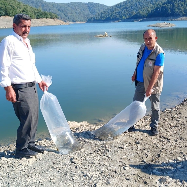 Orhaneli'de göletler sazan yavrularıyla buluştu
Bursa'daki 41 ayrı su kayna...