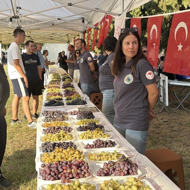 Tekirdağ'da 'Bağ Bozumu Şenliği' düzenlendi