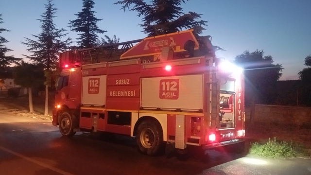 Afyonkarahisar'da orman yangını