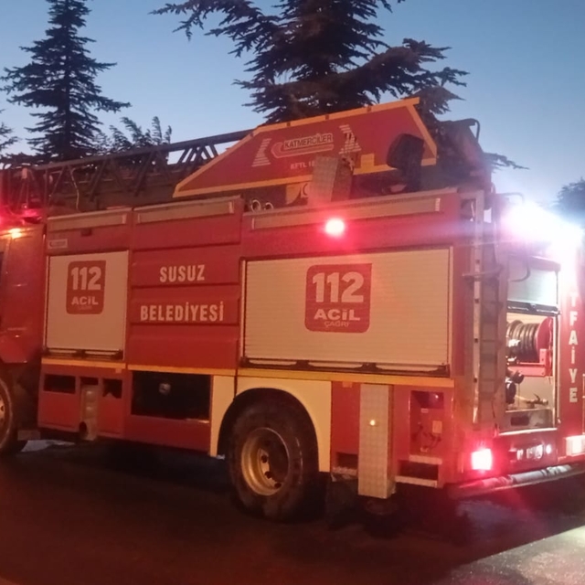Afyonkarahisar'da orman yangını