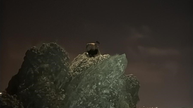 Kayanın üzerinde gündüz uyuyup, gece uyanarak mahsur kalan şahsı AFAD kurtardı